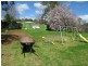 Mudgee NSW 2850