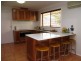 146 Broadhead Road, Mudgee NSW 2850