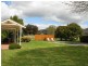 146 Broadhead Road, Mudgee NSW 2850