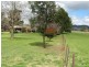 146 Broadhead Road, Mudgee NSW 2850
