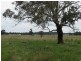 Mudgee NSW 2850