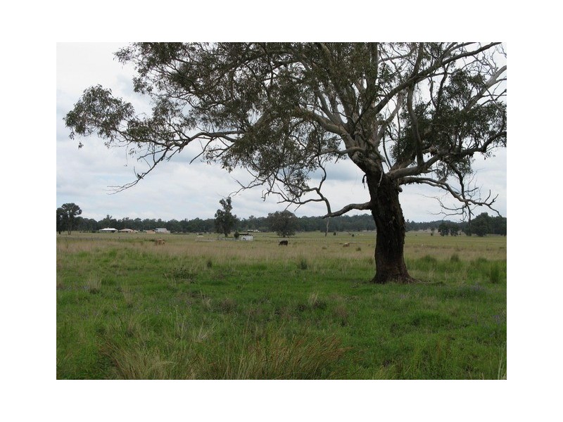 Mudgee NSW 2850