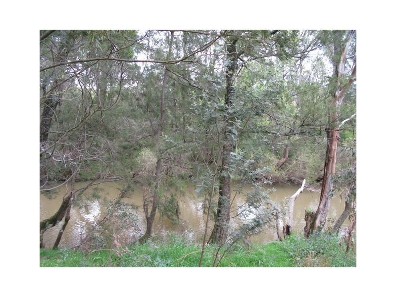 Mudgee NSW 2850