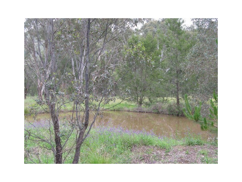 Mudgee NSW 2850