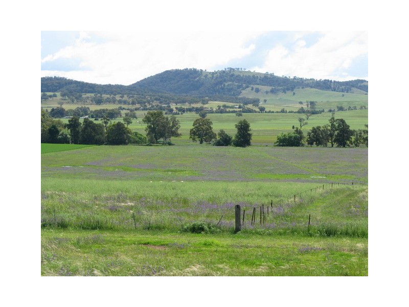 Mudgee NSW 2850
