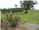 Mudgee NSW 2850