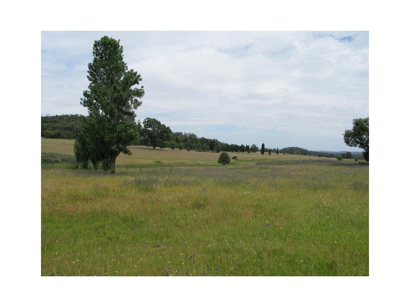 Mudgee NSW 2850