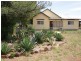 “Mandela” “Mandela”, Dunedoo NSW 2844