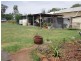“Mandela” “Mandela”, Dunedoo NSW 2844