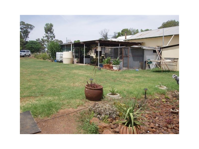 “Mandela” “Mandela”, Dunedoo NSW 2844