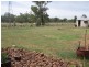 “Mandela” “Mandela”, Dunedoo NSW 2844