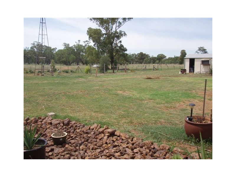 “Mandela” “Mandela”, Dunedoo NSW 2844