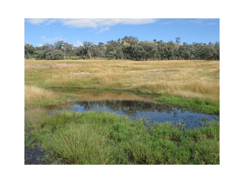 Lot 1 Spring Flat Road, Mudgee NSW 2850