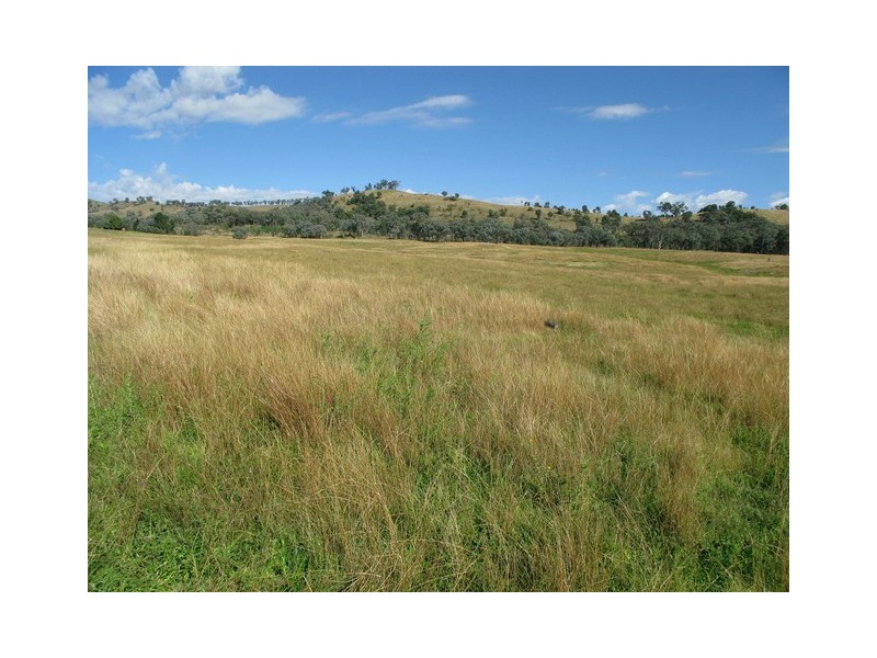 Lot 1 Spring Flat Road, Mudgee NSW 2850