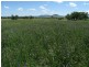 Lots 1 and 60 Spring Flat Road, Mudgee NSW 2850