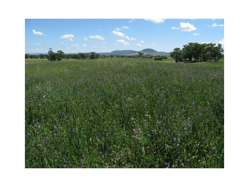 Lots 1 and 60 Spring Flat Road, Mudgee NSW 2850