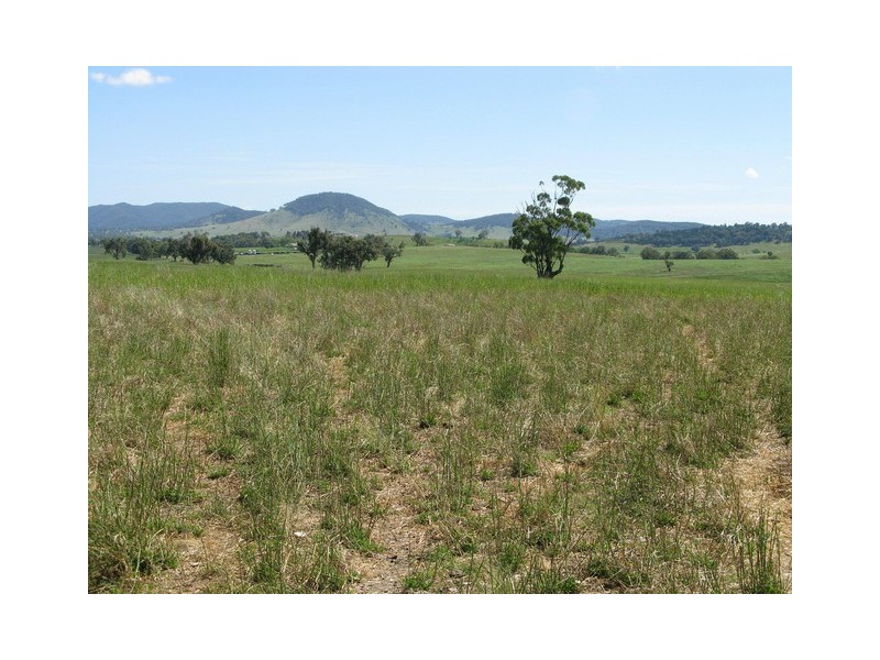 Lots 1 and 60 Spring Flat Road, Mudgee NSW 2850