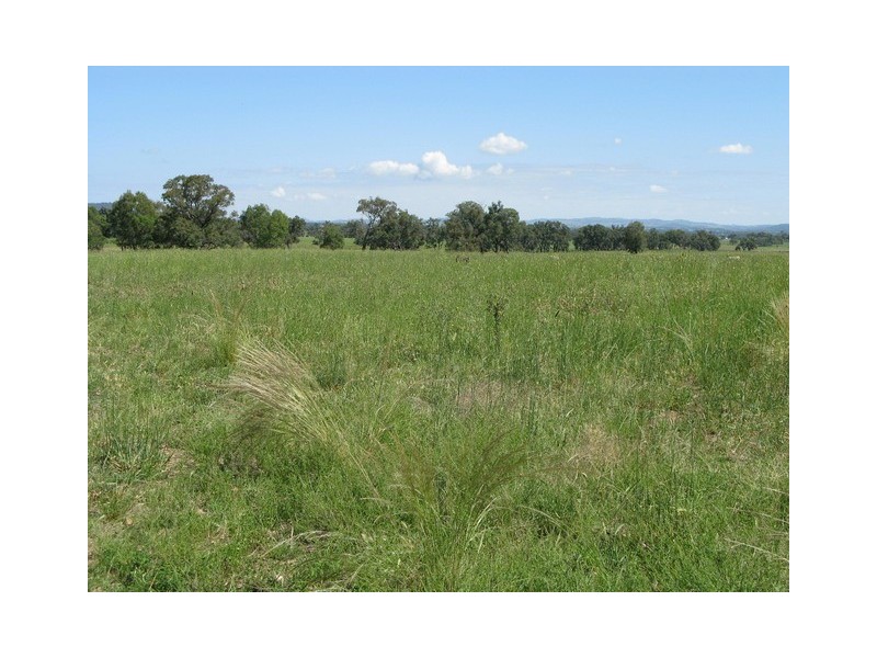 Lots 1 and 60 Spring Flat Road, Mudgee NSW 2850