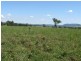 Lots 1 and 60 Spring Flat Road, Mudgee NSW 2850