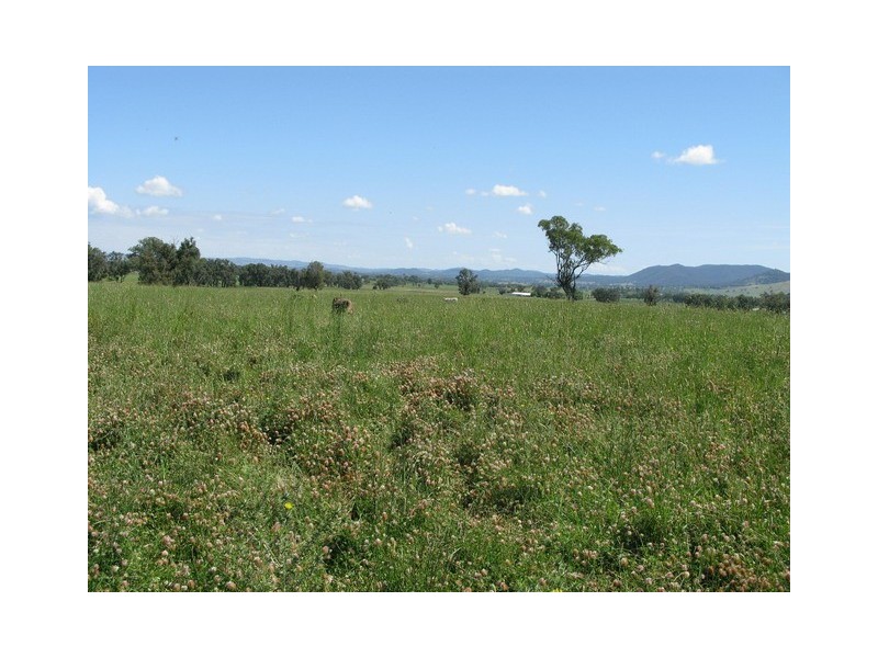 Lots 1 and 60 Spring Flat Road, Mudgee NSW 2850