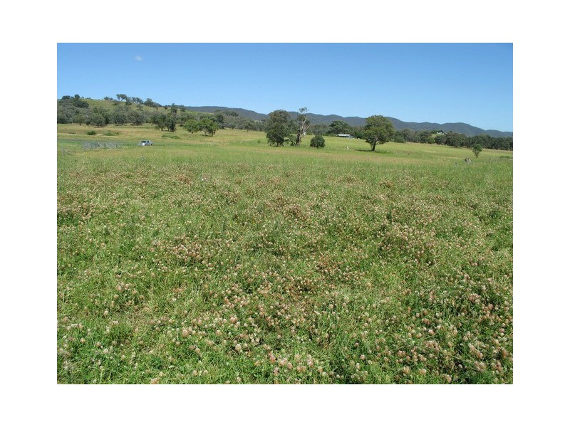 Lots 1 and 60 Spring Flat Road, Mudgee NSW 2850