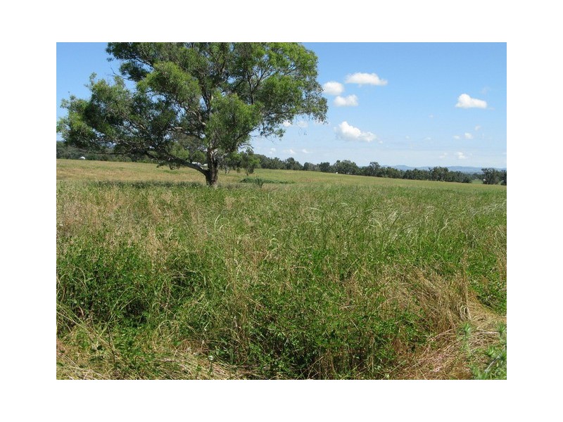 Lots 1 and 60 Spring Flat Road, Mudgee NSW 2850