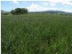 Lots 1 and 60 Spring Flat Road, Mudgee NSW 2850