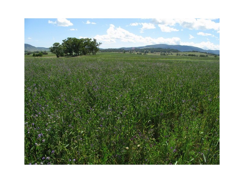 Lots 1 and 60 Spring Flat Road, Mudgee NSW 2850