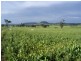 Lots 1 and 60 Spring Flat Road, Mudgee NSW 2850