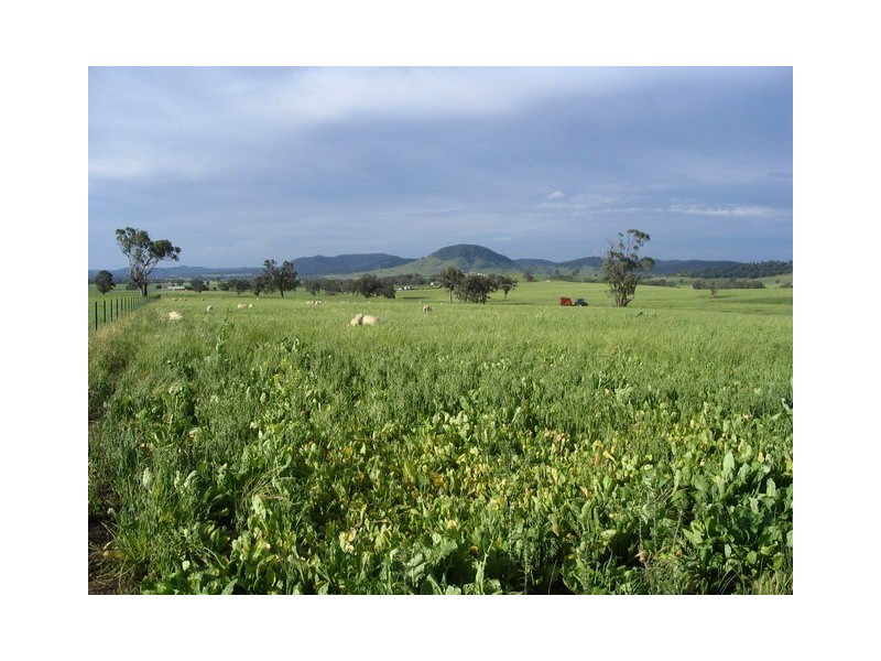 Lots 1 and 60 Spring Flat Road, Mudgee NSW 2850
