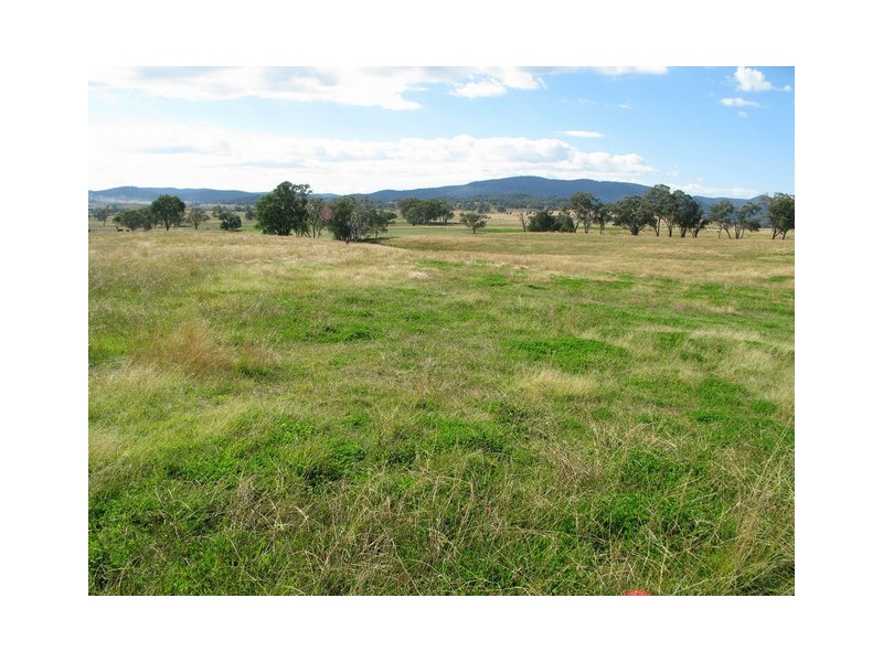 Lots 1 and 60 Spring Flat Road, Mudgee NSW 2850