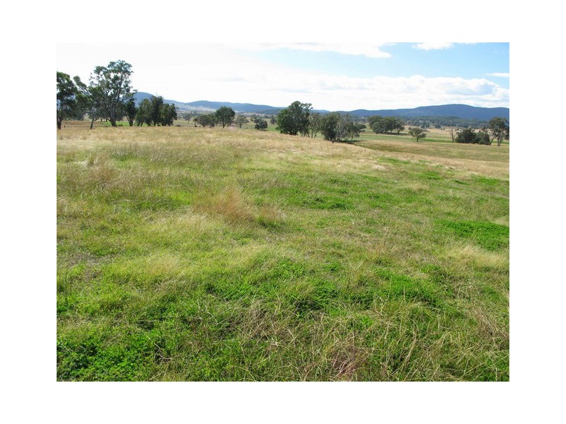 Lots 1 and 60 Spring Flat Road, Mudgee NSW 2850