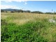 Lots 1 and 60 Spring Flat Road, Mudgee NSW 2850