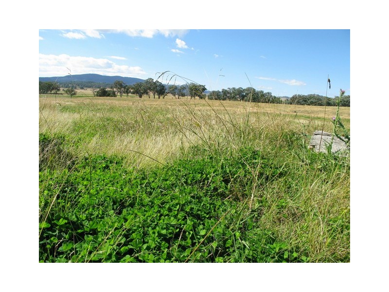 Lots 1 and 60 Spring Flat Road, Mudgee NSW 2850
