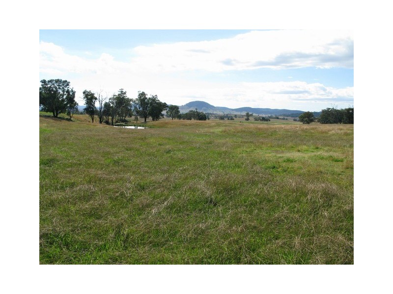 Lots 1 and 60 Spring Flat Road, Mudgee NSW 2850