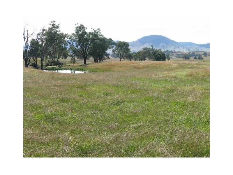 Lots 1 and 60 Spring Flat Road, Mudgee NSW 2850