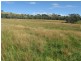 Lots 1 and 60 Spring Flat Road, Mudgee NSW 2850