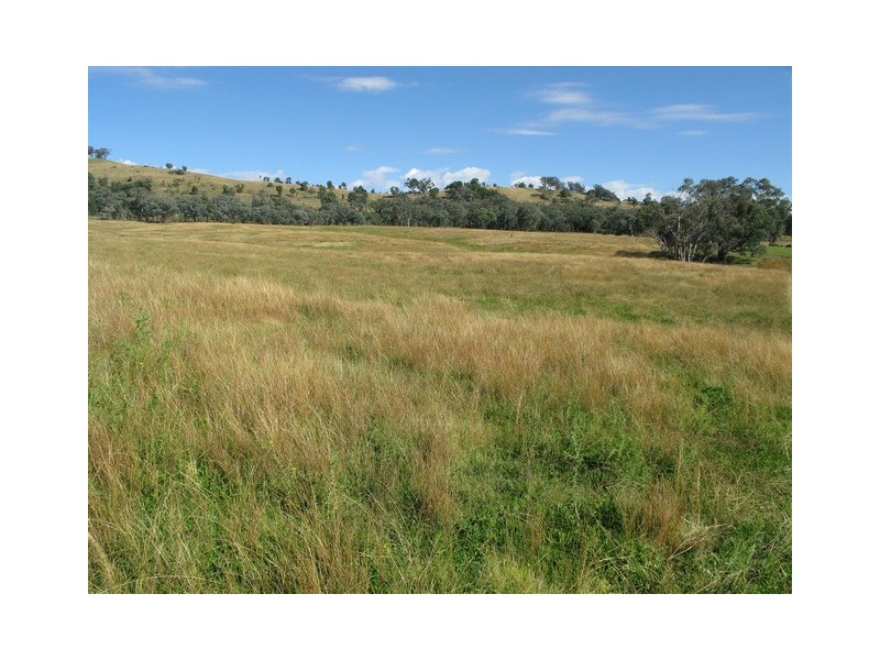 Lots 1 and 60 Spring Flat Road, Mudgee NSW 2850