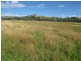 Lots 1 and 60 Spring Flat Road, Mudgee NSW 2850