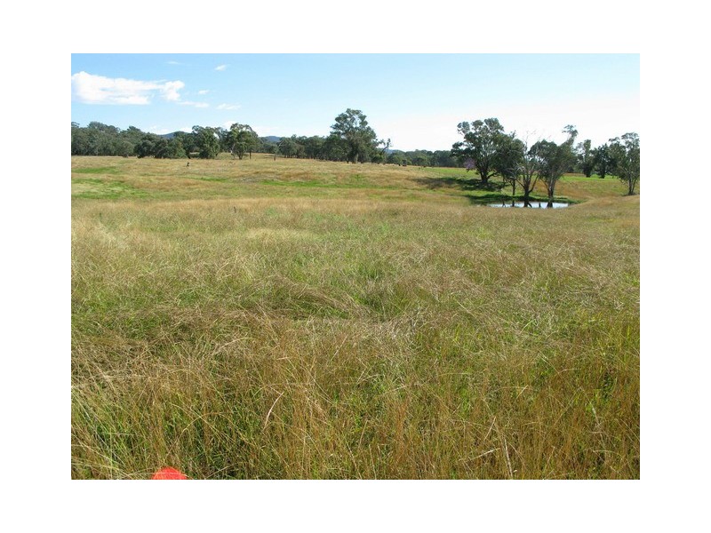 Lots 1 and 60 Spring Flat Road, Mudgee NSW 2850