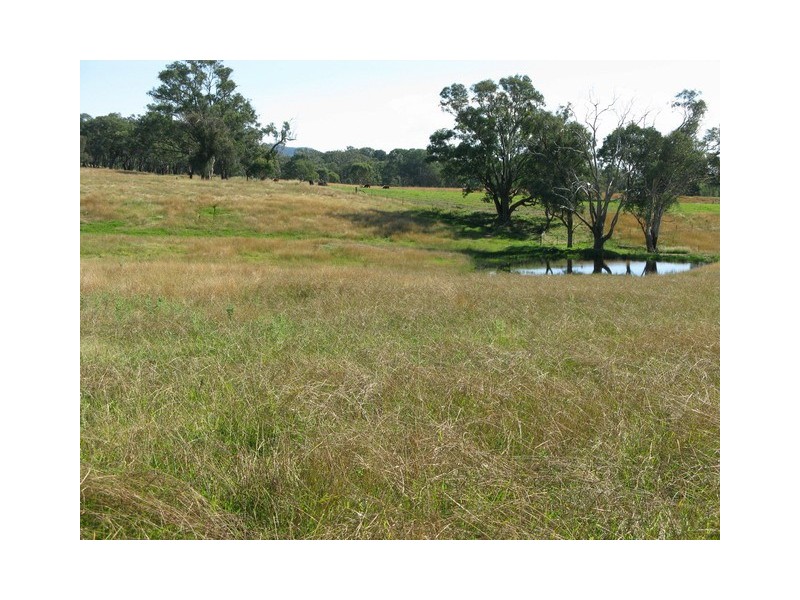 Lots 1 and 60 Spring Flat Road, Mudgee NSW 2850
