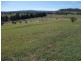 Mudgee NSW 2850
