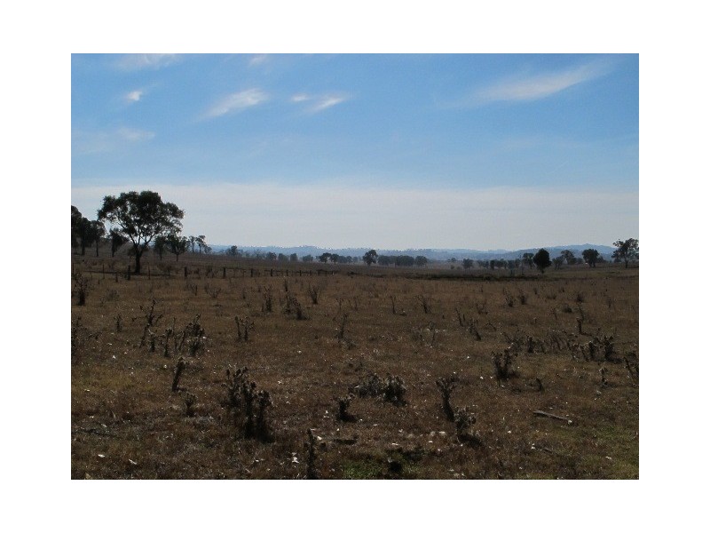 140 Tuckermans Road, Mudgee NSW 2850