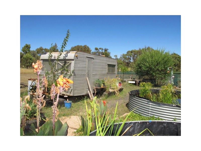 1131 Black Springs Road, Mudgee NSW 2850