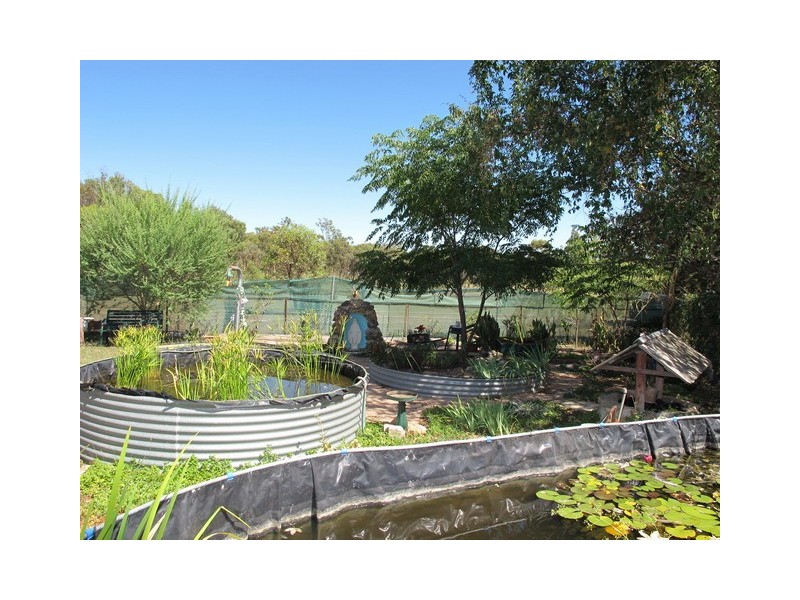 1131 Black Springs Road, Mudgee NSW 2850