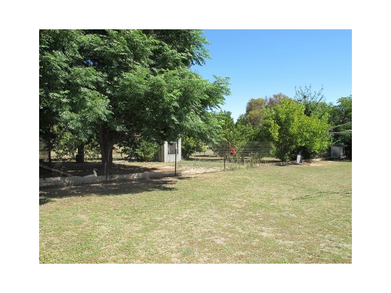 1131 Black Springs Road, Mudgee NSW 2850