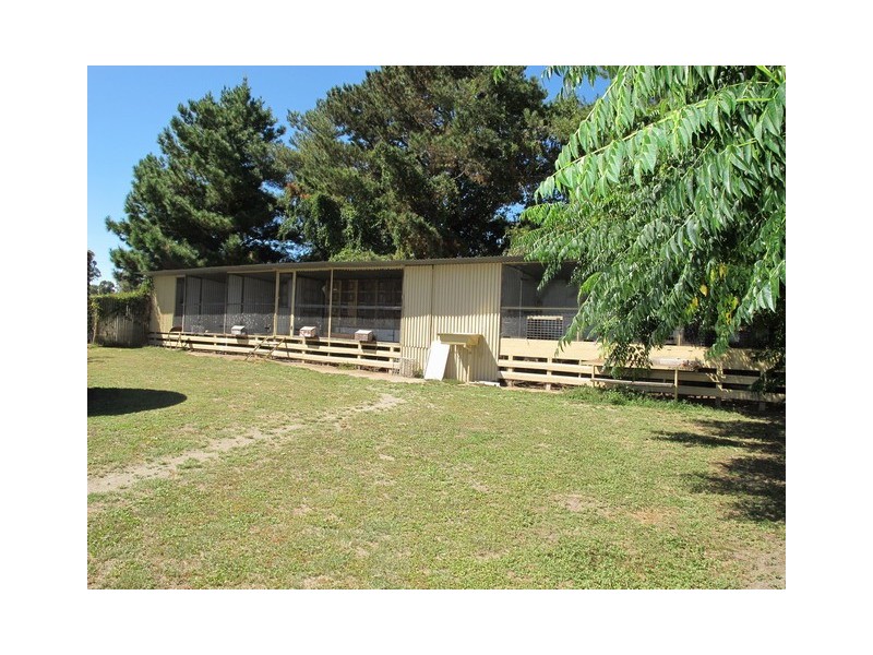 1131 Black Springs Road, Mudgee NSW 2850