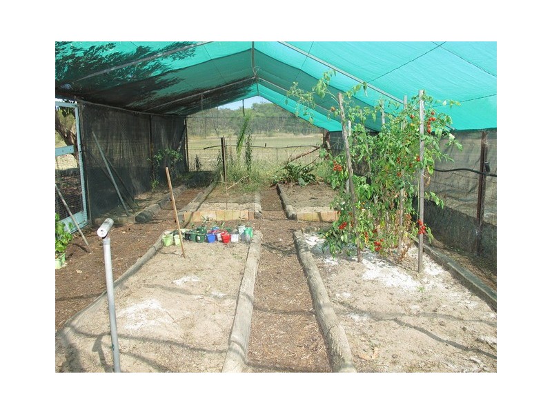 1131 Black Springs Road, Mudgee NSW 2850