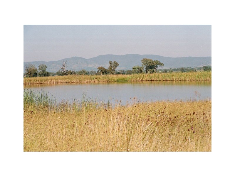 Mudgee NSW 2850
