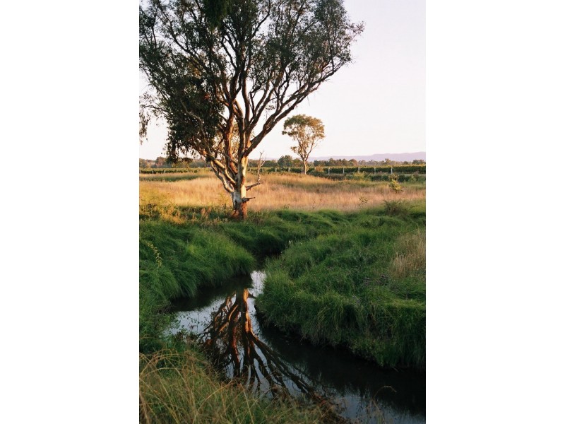 Mudgee NSW 2850
